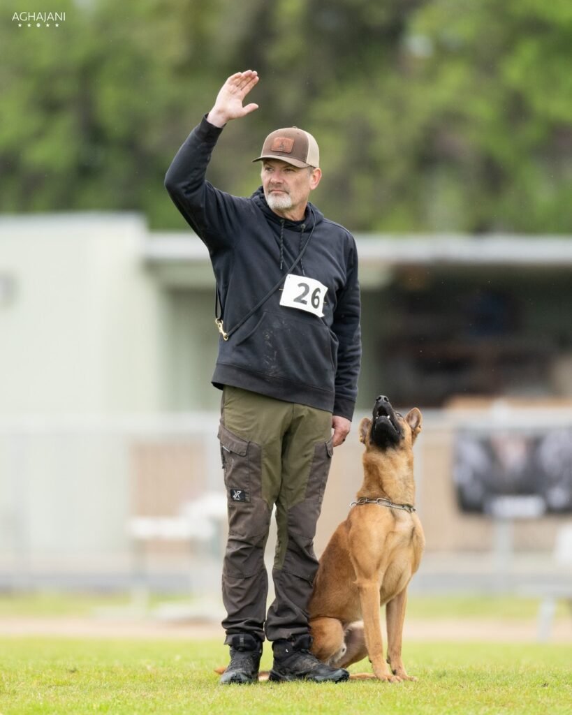 aggressive dog trainers in olympia wa