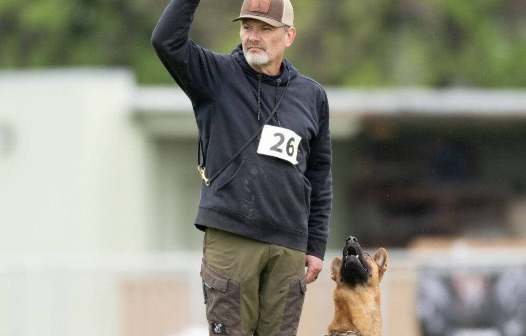 aggressive dog trainers in olympia wa